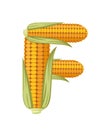 Vegetable letter F corn style cartoon vegetable design flat vector illustration isolated on white background
