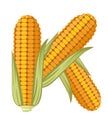 Vegetable letter K corn style cartoon vegetable design flat vector illustration isolated on white background