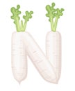 Vegetable letter N radish style cartoon vegetable design flat vector illustration isolated on white background