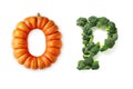 Vegetable Letters \