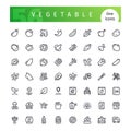 Vegetable Line Icons Set