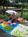 Vegetable lndian famil umbrella selling on road