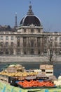 Vegetable market on Rhone banks Royalty Free Stock Photo