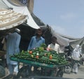 Vegetable market side walk stawl hot summers and decorative cucumbers