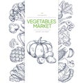 Vegetable markets banner template with hand drawn green