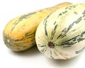 Vegetable marrow Royalty Free Stock Photo