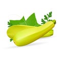 Vegetable Marrow Courgette Or Zucchini Isolated On A White Background. Royalty Free Stock Photo