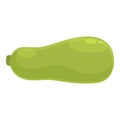 Vegetable marrow icon cartoon vector. Farm zucchini