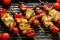 Vegetable and meat skewers in a herb marinade Royalty Free Stock Photo