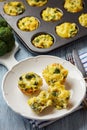 Vegetable muffins with broccoli and potatoes, vegetarian food.