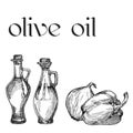 Vegetable oil assorted bottles set. Olive, sunflower, soybean vector illustration. Royalty Free Stock Photo