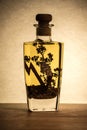 Vegetable oil with spices in a bottle Royalty Free Stock Photo