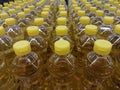 Bottles of vegetable oil arranged neatly on the shelves.