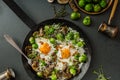 Vegetable omelet with bulls eye egg and sprouts Royalty Free Stock Photo