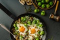 Vegetable omelet with bulls eye egg and sprouts Royalty Free Stock Photo