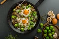 Vegetable omelet with bulls eye egg and sprouts Royalty Free Stock Photo