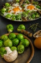 Vegetable omelet with bulls eye egg and sprouts Royalty Free Stock Photo