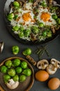 Vegetable omelet with bulls eye egg and sprouts Royalty Free Stock Photo