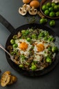 Vegetable omelet with bulls eye egg and sprouts Royalty Free Stock Photo