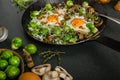 Vegetable omelet with bulls eye egg and sprouts Royalty Free Stock Photo