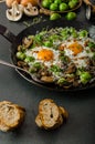 Vegetable omelet with bulls eye egg and sprouts Royalty Free Stock Photo