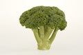 One piece Green Broccoli on white background Royalty Free Stock Photo