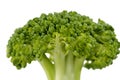 One piece Green Broccoli on white background Royalty Free Stock Photo