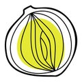 Vegetable onion contour drawing with color spot logo