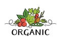 Vegetable and organic Logo