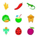 Vegetable origin icons set, cartoon style