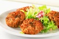 Vegetable patties Royalty Free Stock Photo