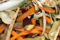 Vegetable peelings in composting pile