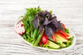 Vegetable platter in a white plate close-up. Cucumbers, tomatoes, radishes, basil, dill in a plate copy space Royalty Free Stock Photo