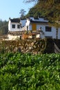 Vegetable plot in chinese village