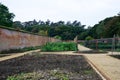 Vegetable plot in English walled garden Royalty Free Stock Photo
