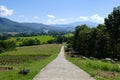 Vegetable plot with mountain and paddy view