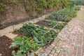 Vegetable plots divided into squares and protected by a framework of branches and netting