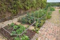 Vegetable plots divided into squares and protected by a framework of branches and netting