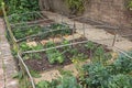 Vegetable plots divided into squares and protected by a framework of branches and netting