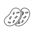 Vegetable, potato line icon, outline vector