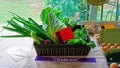 Vegetable produce competition winner at the Motueka A and P show