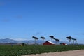 Castroville California farm workers red barn trees coastal hills blue sky