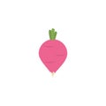 Vegetable radish flat style icon