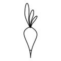 Vegetable radish icon, outline style