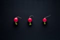 Group radishes on a black background like a vegetable pattern