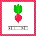 Vegetable. radish on white background. Educational logic worksheet for preschool and school age. Guess the word.