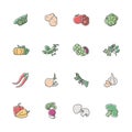 Vegetable RGB color icons set Royalty Free Stock Photo