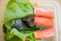 Vegetable Roll salad in plastic box Royalty Free Stock Photo