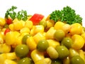 Vegetable salad Royalty Free Stock Photo