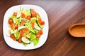 Vegetable salad. Baked eggplant salad and fresh tomatoes. View from above. natural products Royalty Free Stock Photo